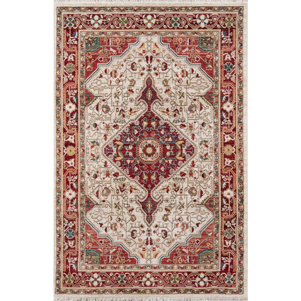 Traditional Rectangle Area Rug, Red, 3'3" X 5'3". Picture 1