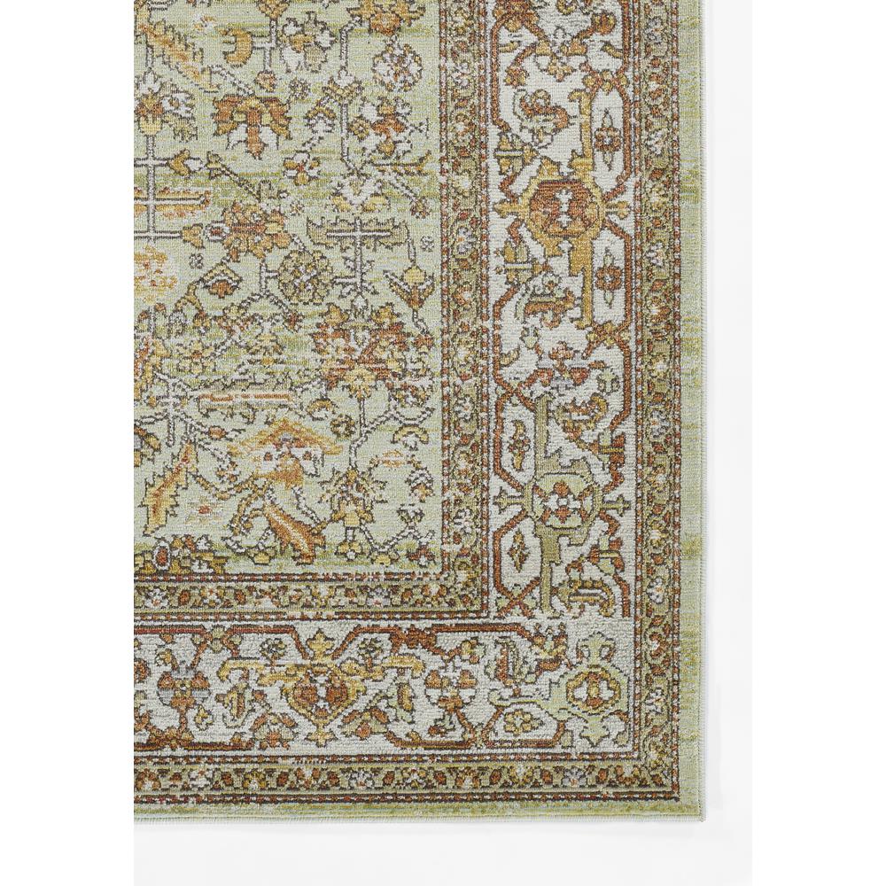 Traditional Rectangle Area Rug, Sage, 4' X 6'. Picture 2
