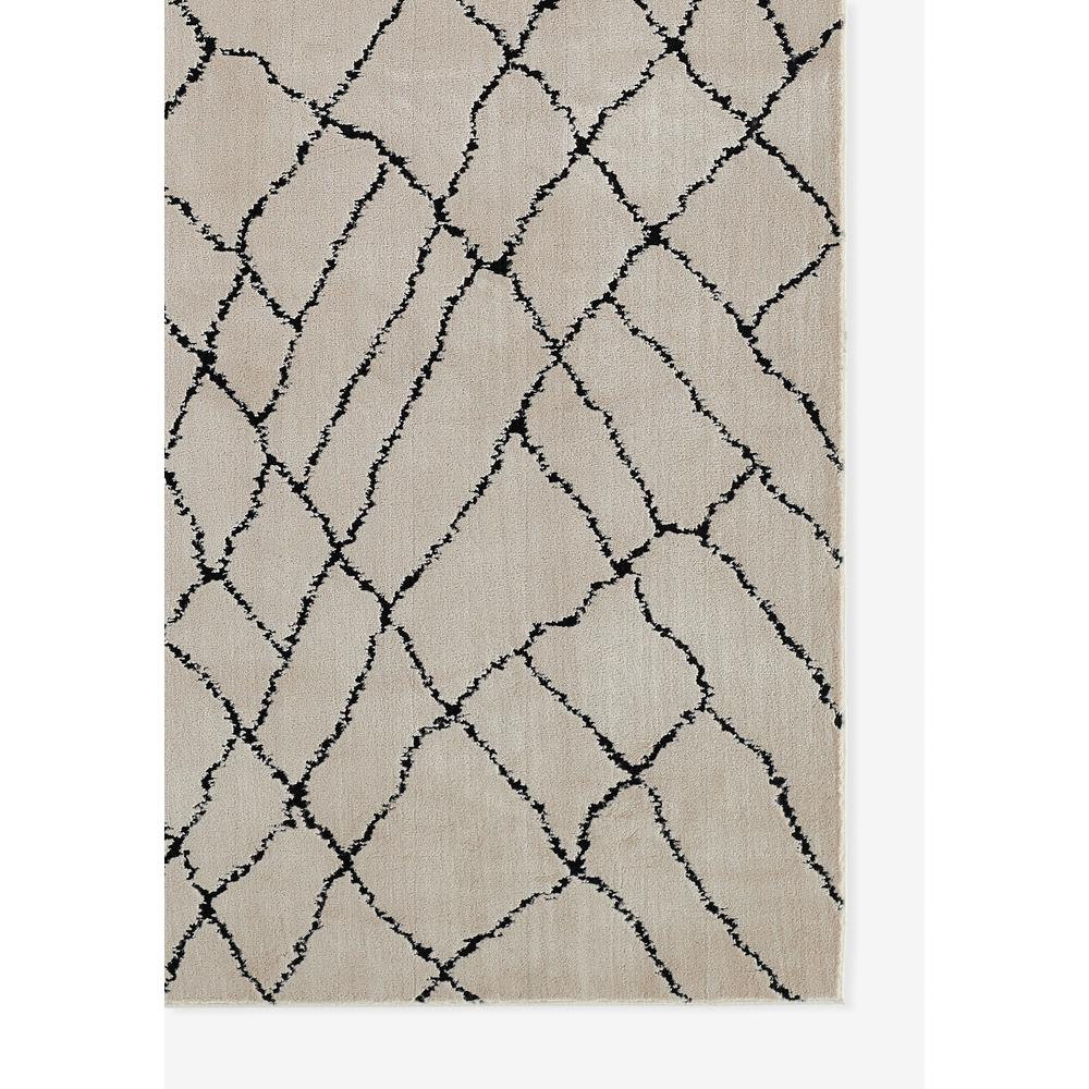 Contemporary Rectangle Area Rug, Ivory, 3'11" X 5'7". Picture 2