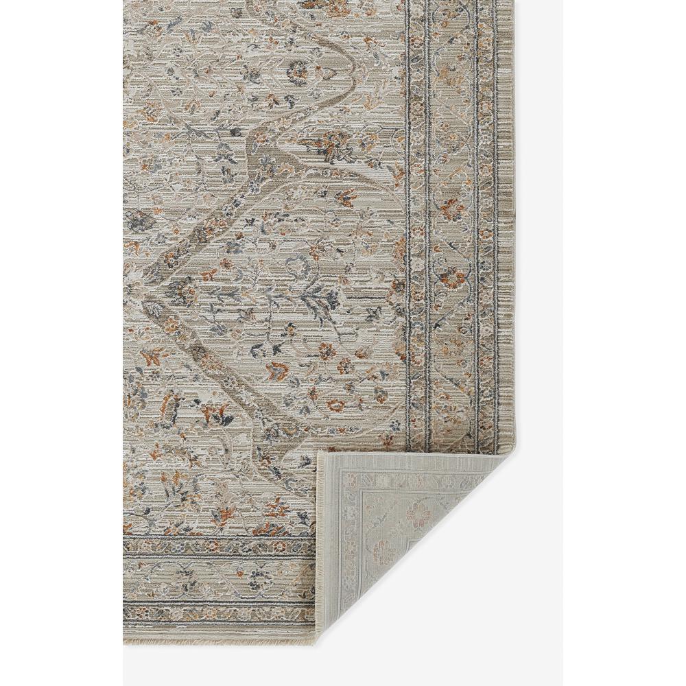 Traditional Rectangle Area Rug, Cream, 7'10" X 10'10". Picture 3