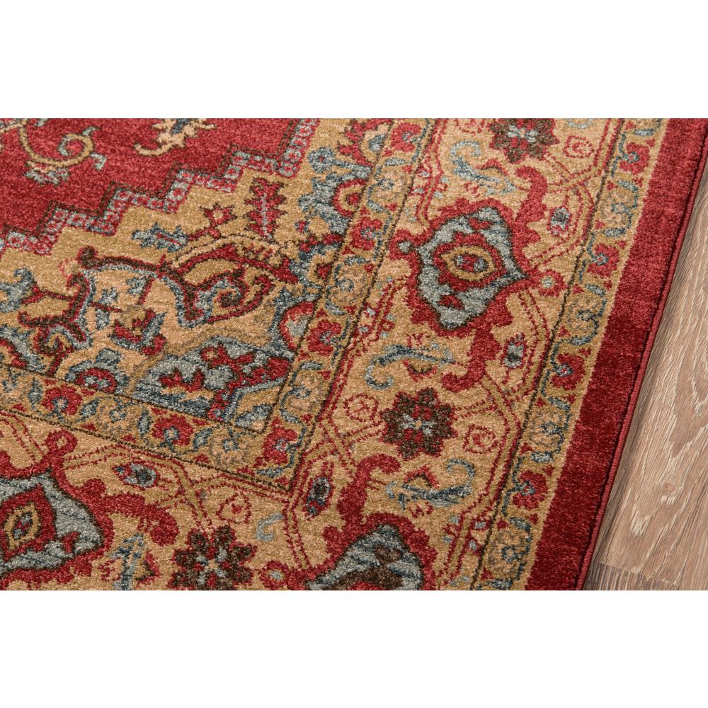 Traditional Rectangle Area Rug, Red, 9'3" X 12'6". Picture 3