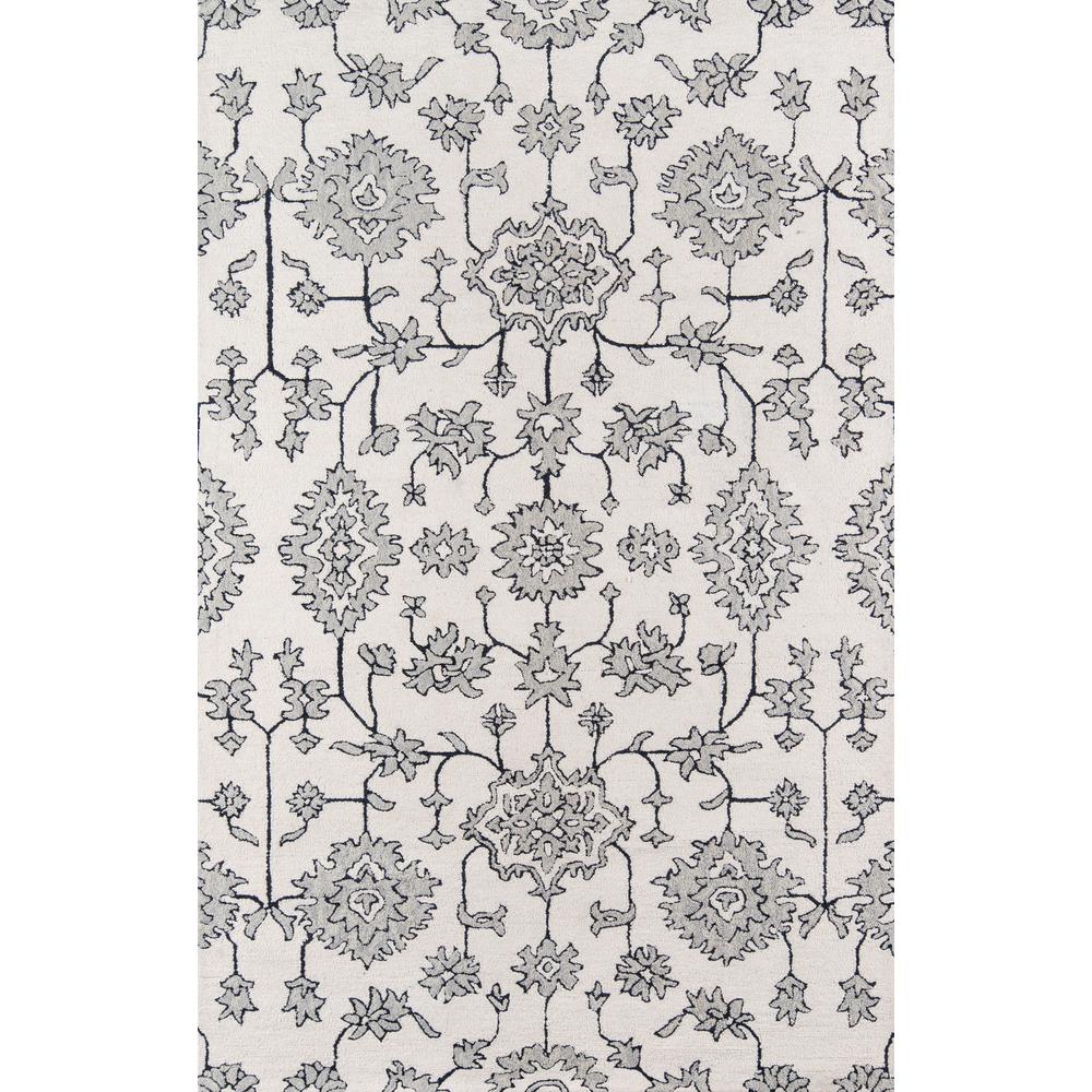 Transitional Rectangle Area Rug, Ivory, 9' X 12'. Picture 1