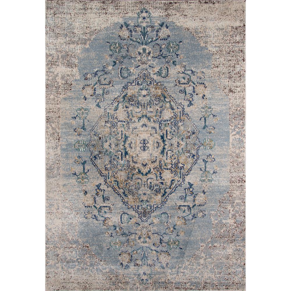 Traditional Rectangle Area Rug, Light Blue, 9'3" X 12'6". Picture 1