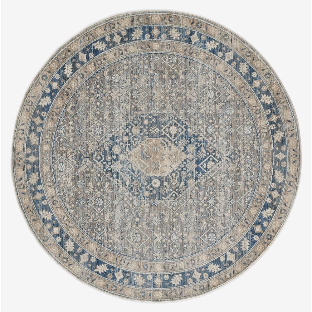 Traditional Rectangle Area Rug, Blue, 8' X 10'. Picture 6