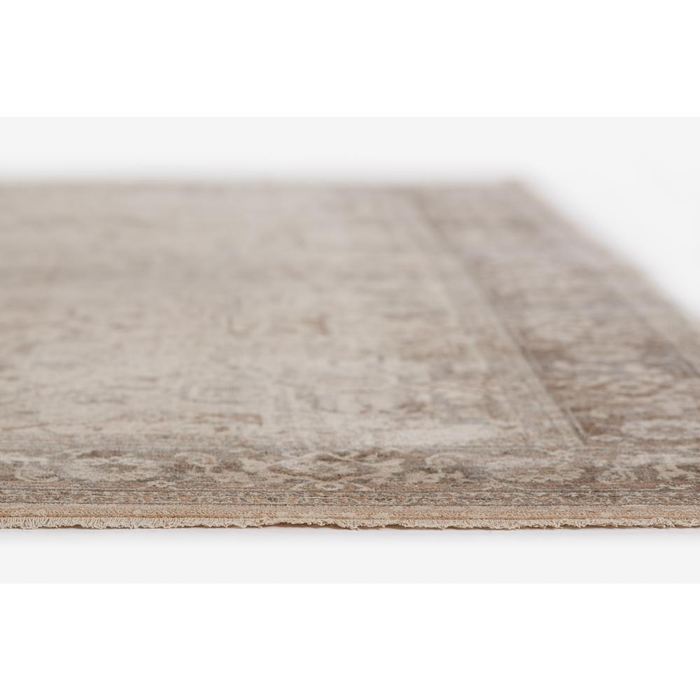 Traditional Rectangle Area Rug, Grey, 9' X 12'. Picture 6