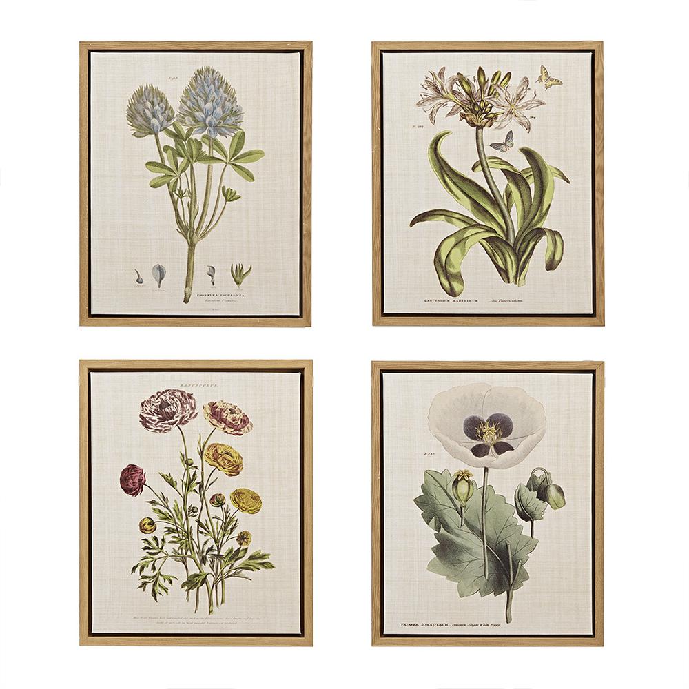 4Pc 16X20 Framed Linen Canvas Set - Herbal Botany. Picture 3