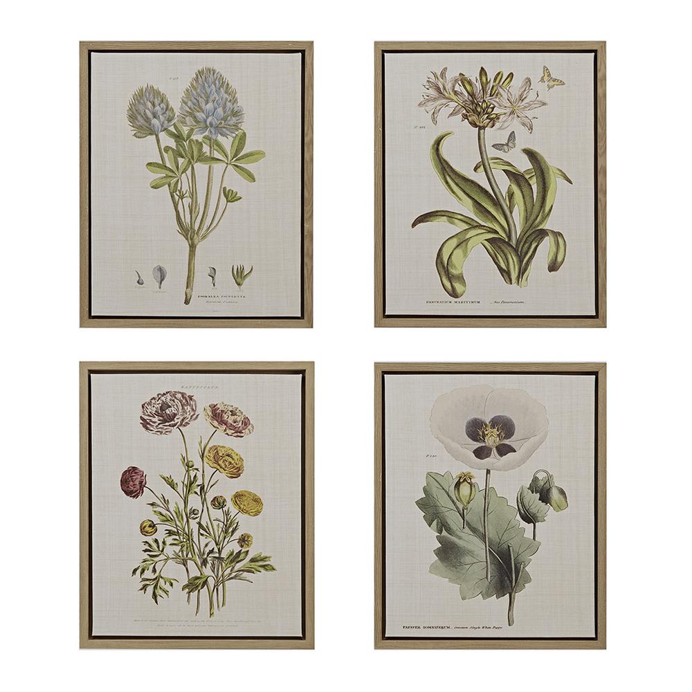 4-piece Botanical Illustration Framed Canvas Wall Art Set. Picture 4