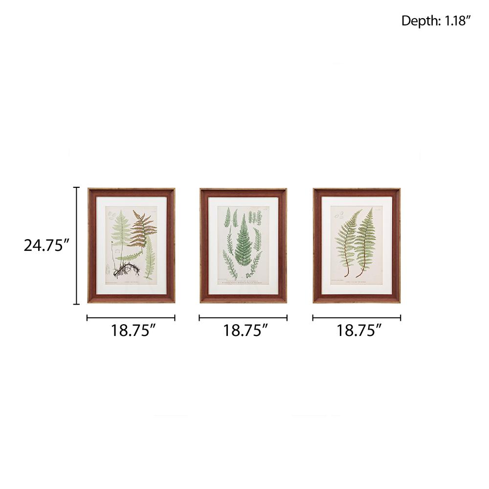 Botanical Illustration 3-piece Framed Glass and Single Matted Wall Art Set. Picture 1