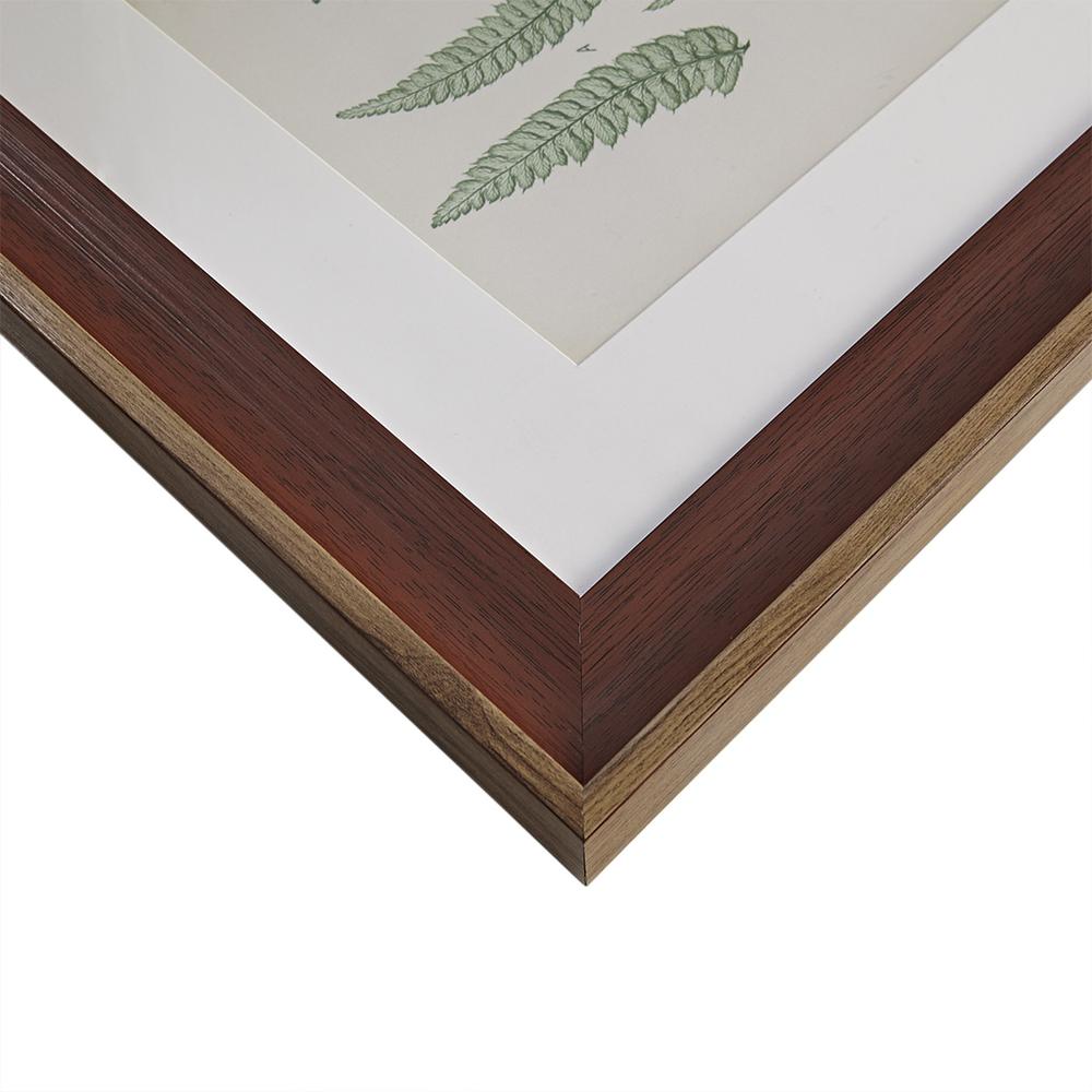 Botanical Illustration 3-piece Framed Glass and Single Matted Wall Art Set. Picture 5