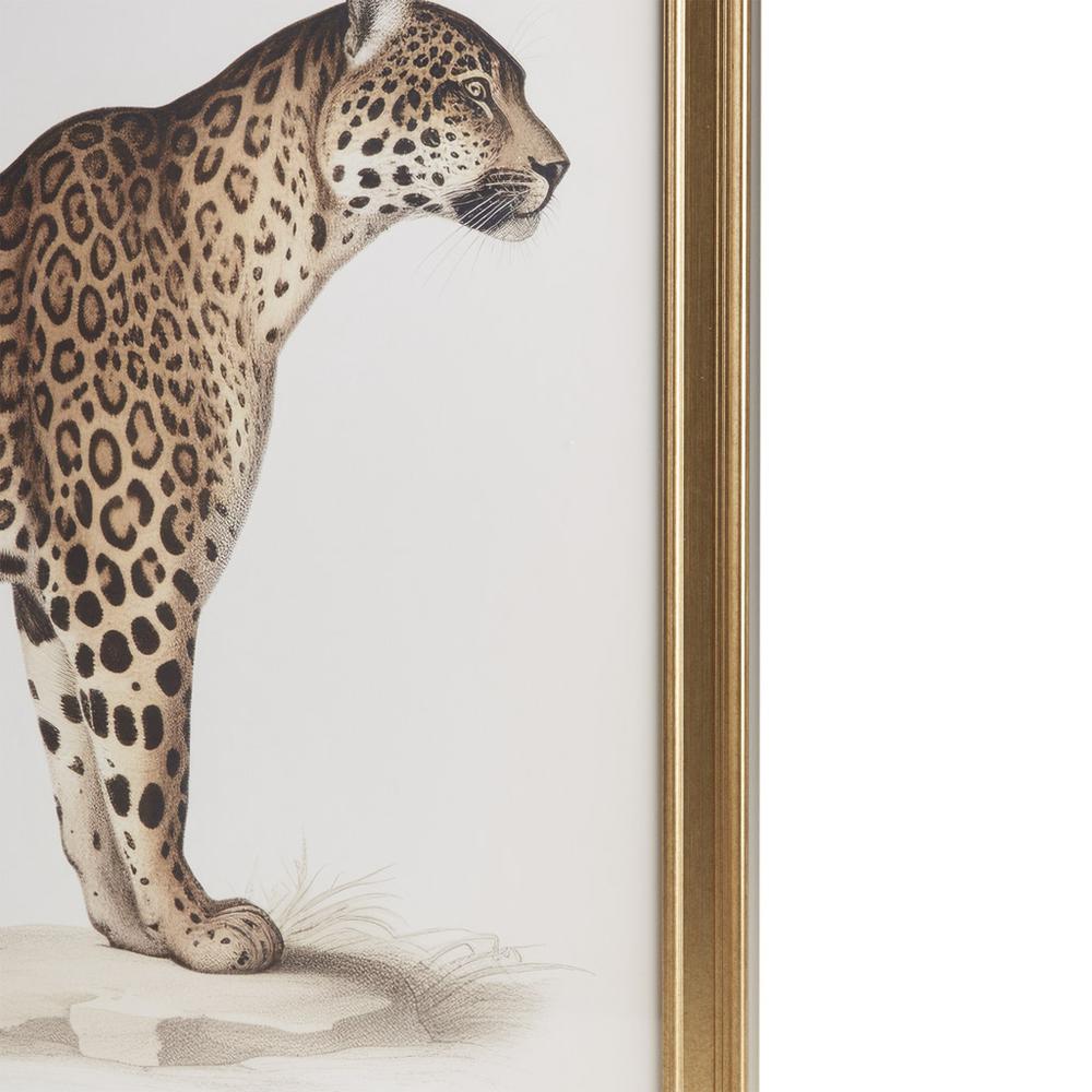 Cheetah Framed Graphic Wall Decor 2PC set. Picture 2