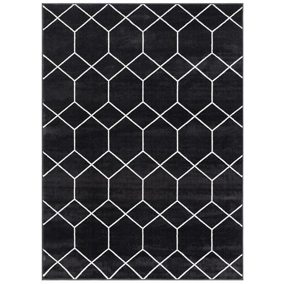 100% Polyester Trellis Geometric Woven Area Rug - 8x10'. The main picture.
