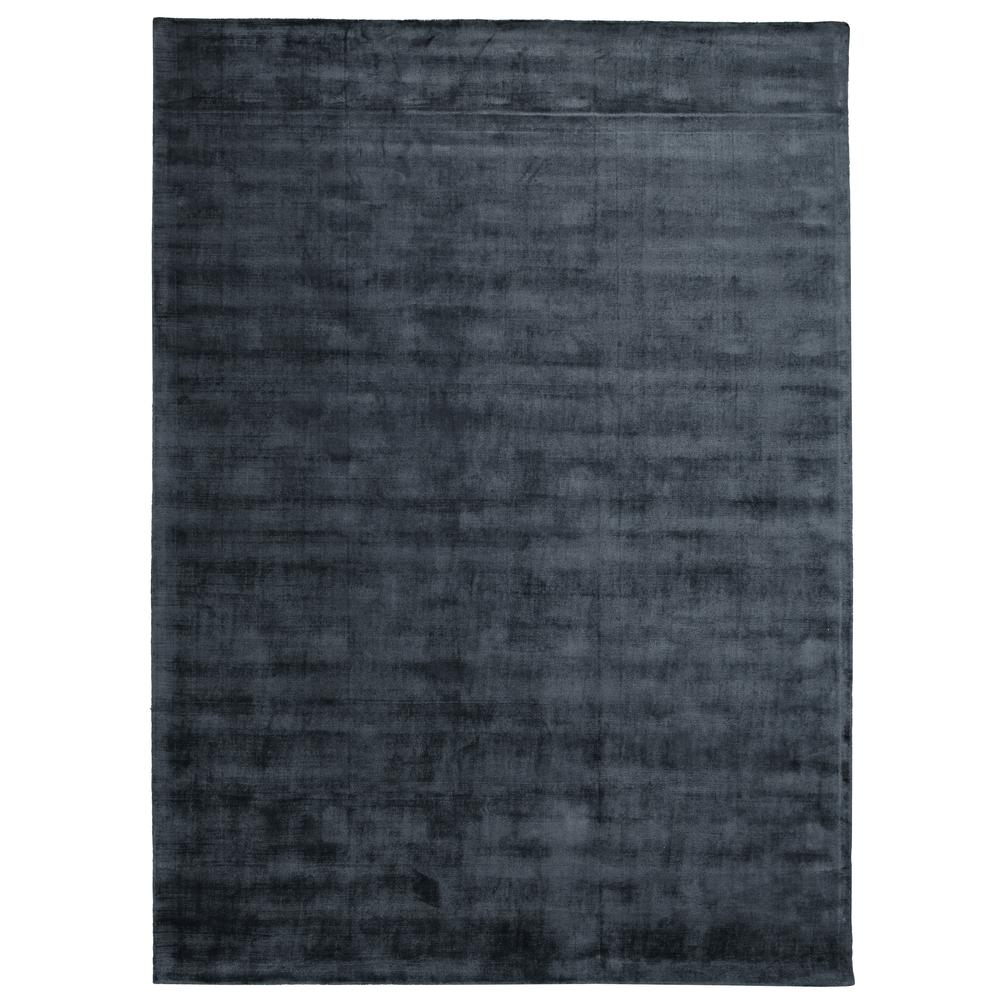 Cameron Hand-woven Distressed Viscose Area Rug  Ink Blue 8X10. Picture 1