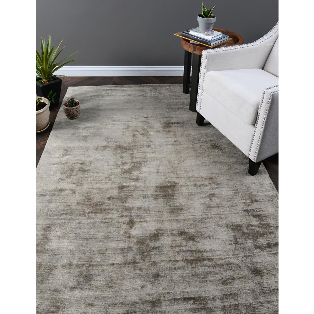 Cameron Hand-woven Distressed Viscose Area Rug  Silver 9X12. Picture 2