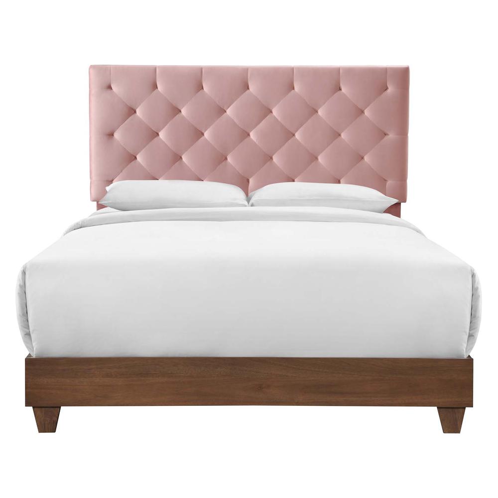 Rhiannon Diamond Tufted Upholstered Performance Velvet Queen Bed - Walnut Dusty Rose MOD-6147-WAL-DUS. Picture 1