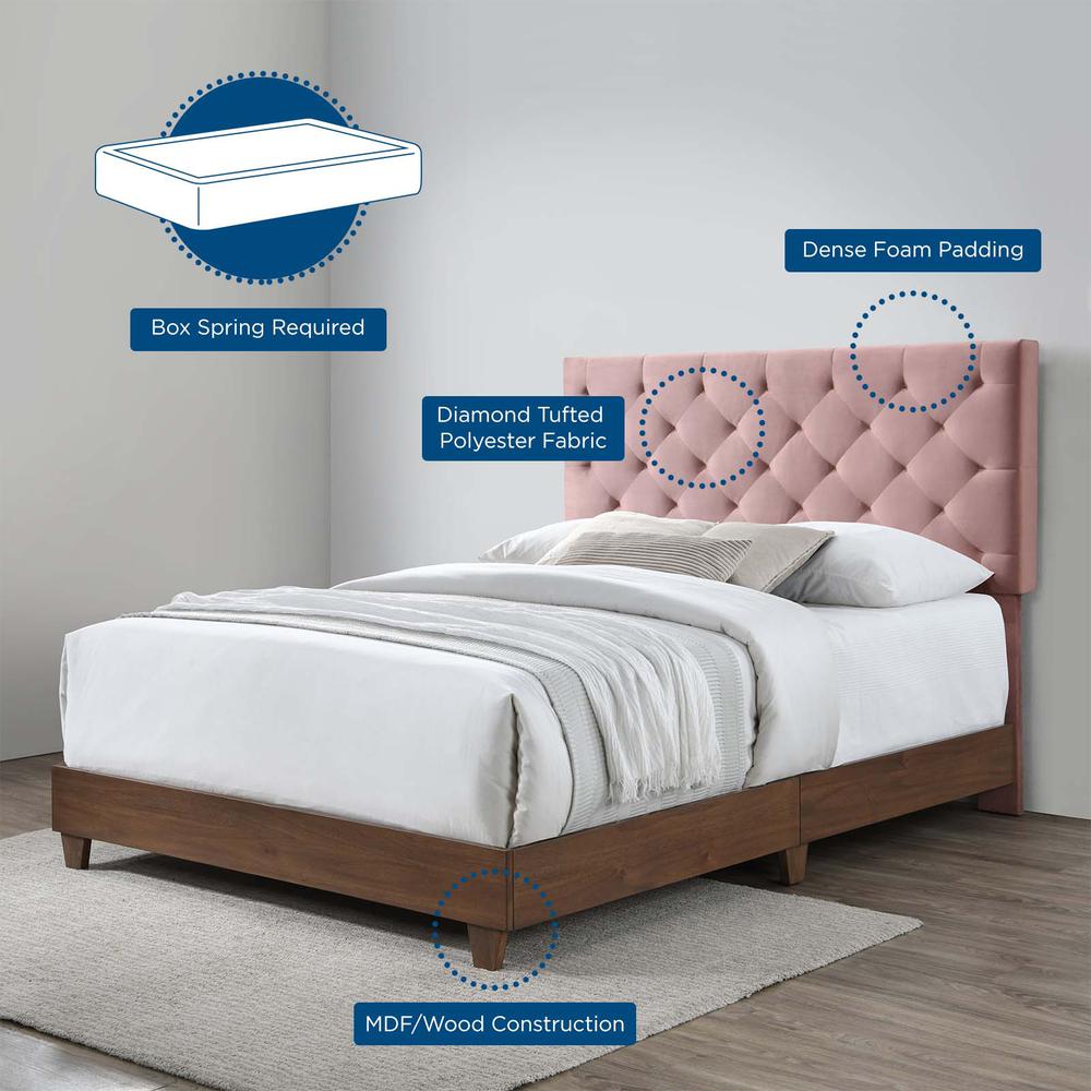 Rhiannon Diamond Tufted Upholstered Performance Velvet Queen Bed - Walnut Dusty Rose MOD-6147-WAL-DUS. Picture 4