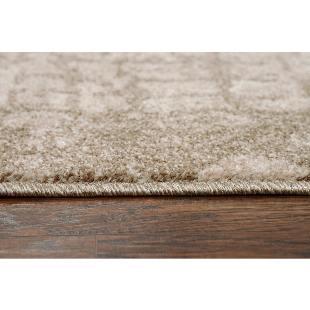 Venice Neutral 3'11" x 5'6" Power-Loomed Rug- VI1001. Picture 11
