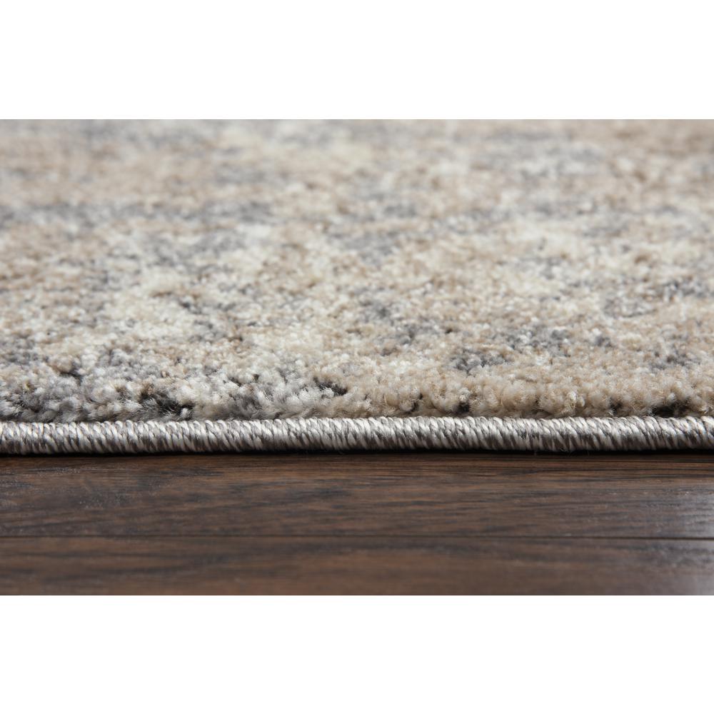 Venice Neutral 3'11" x 5'6" Power-Loomed Rug- VI1007. Picture 5