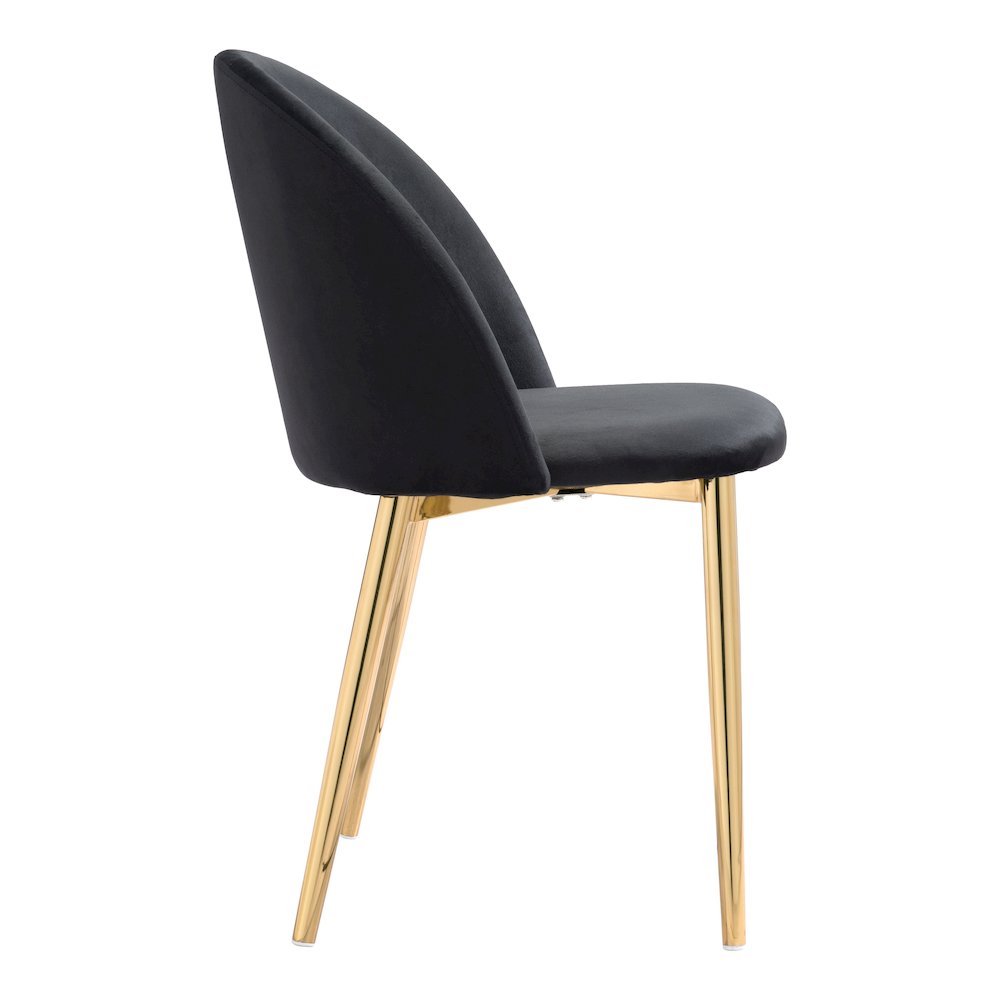 CozyComfort Dining Chairs (Set of 2) - Black, Belen Kox. Picture 3