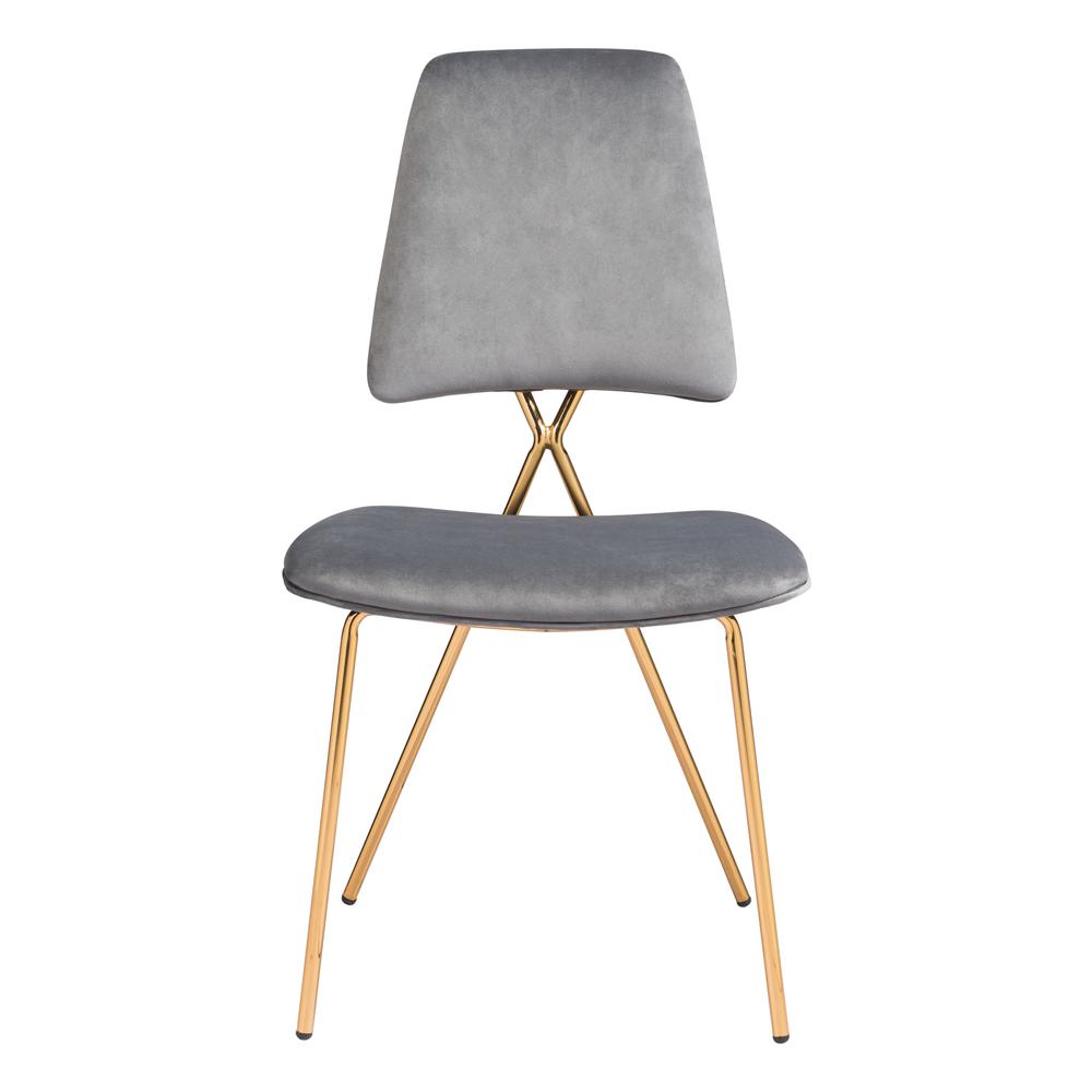 Chloe Dining Chair (Set of 2) Gray & Gold. Picture 4
