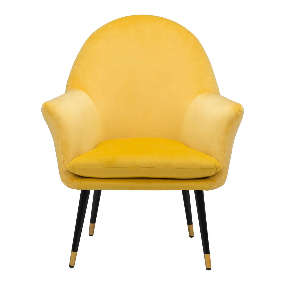 Alexandria Accent Chair Yellow. Picture 3