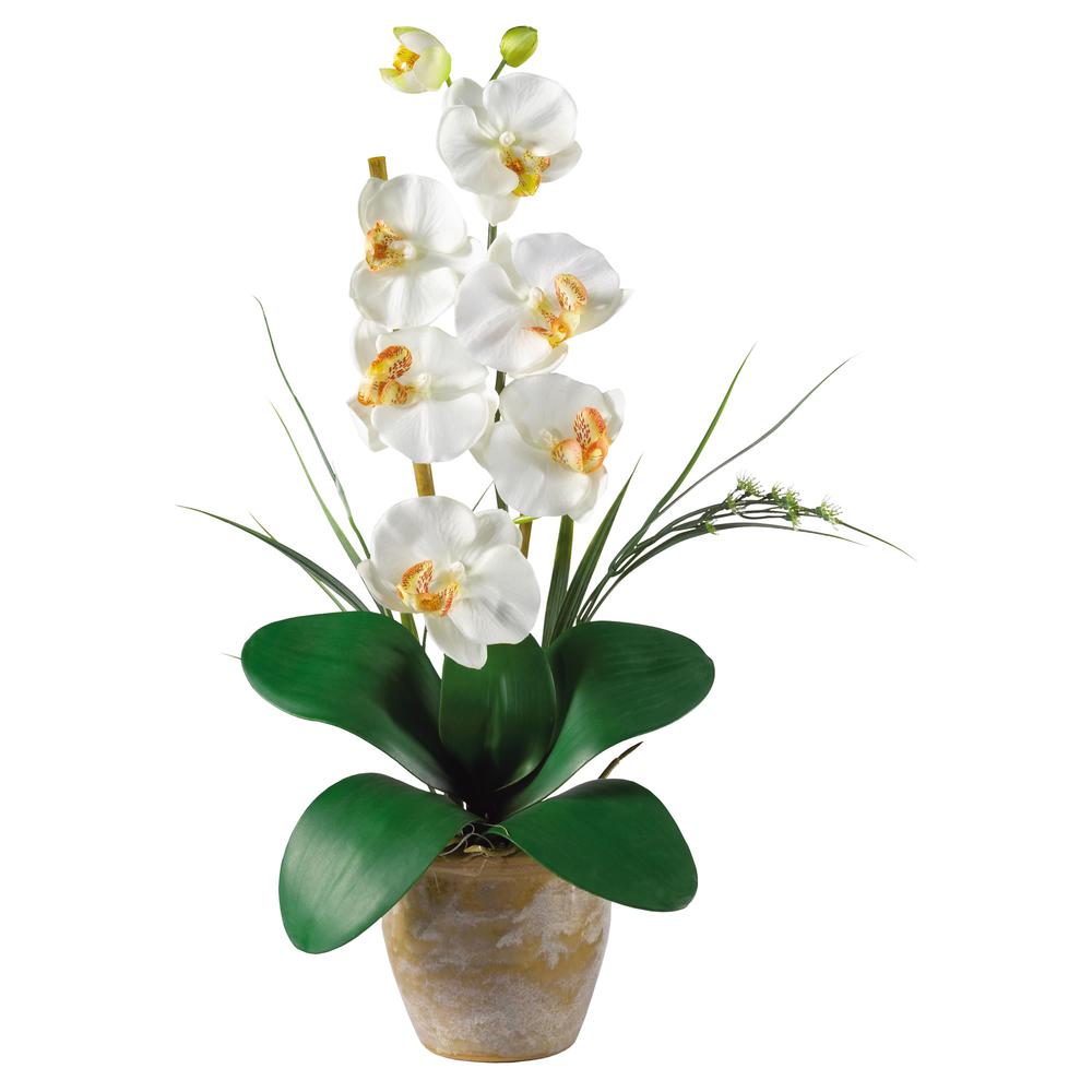 Phalaenopsis Silk Orchid Flower Arrangement. Picture 3