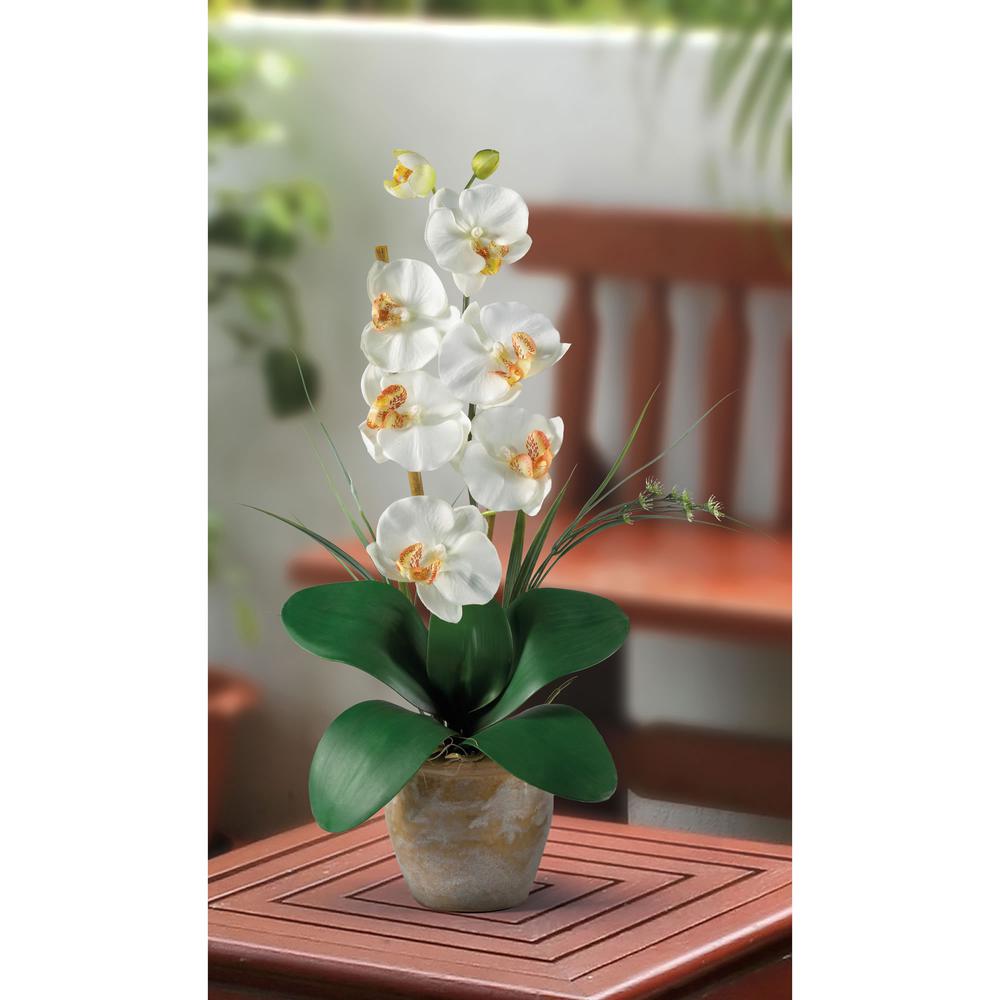 Phalaenopsis Silk Orchid Flower Arrangement. Picture 2