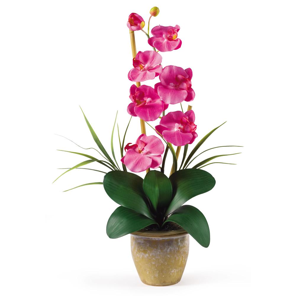 Phalaenopsis Silk Orchid Flower Arrangement. Picture 1