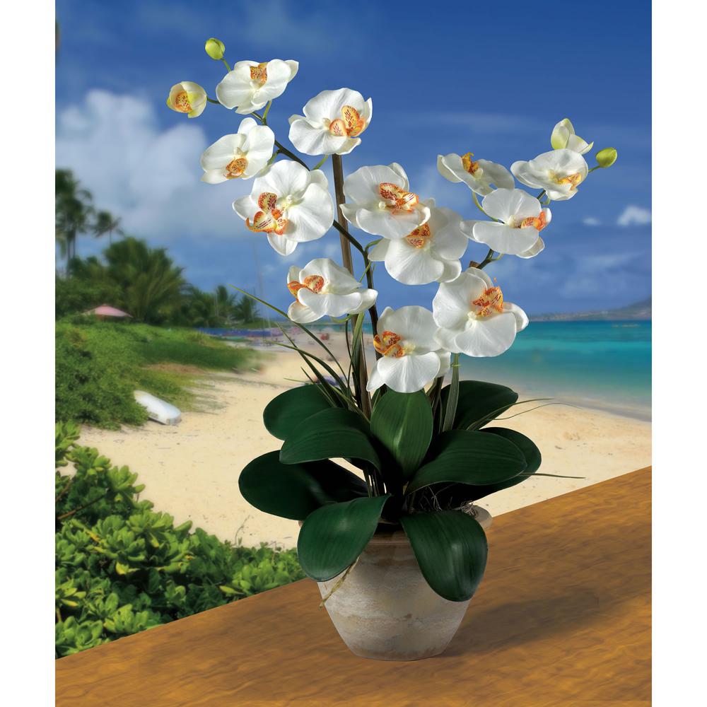 Double Phalaenopsis Silk Orchid Flower Arrangement. Picture 2