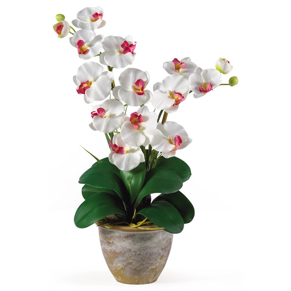 Double Phalaenopsis Silk Orchid Flower Arrangement - White. Picture 1