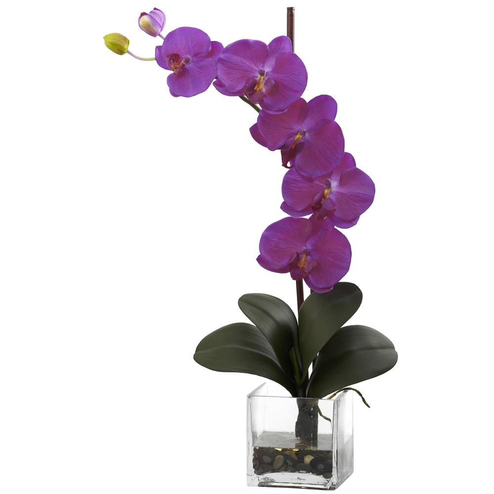 Giant Phalaenopsis Orchid with Vase Arrangement. Picture 1