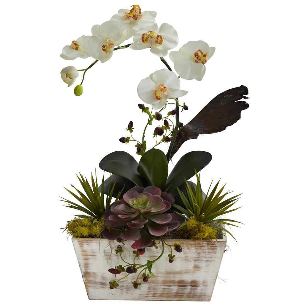 Orchid & Succulent Garden with White Wash Planter. Picture 2