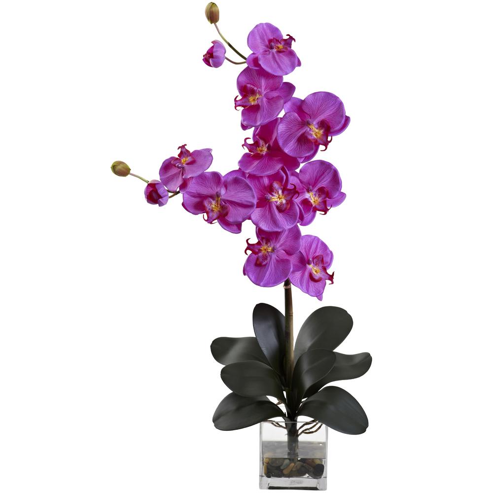 Double Giant Phalaenopsis with Vase. Picture 1