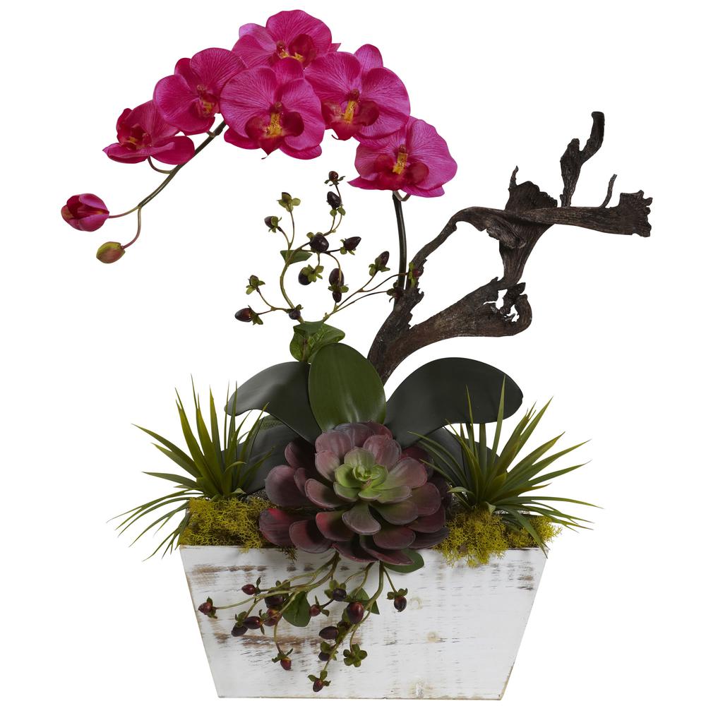 Orchid & Succulent Garden with White Wash Planter. Picture 1