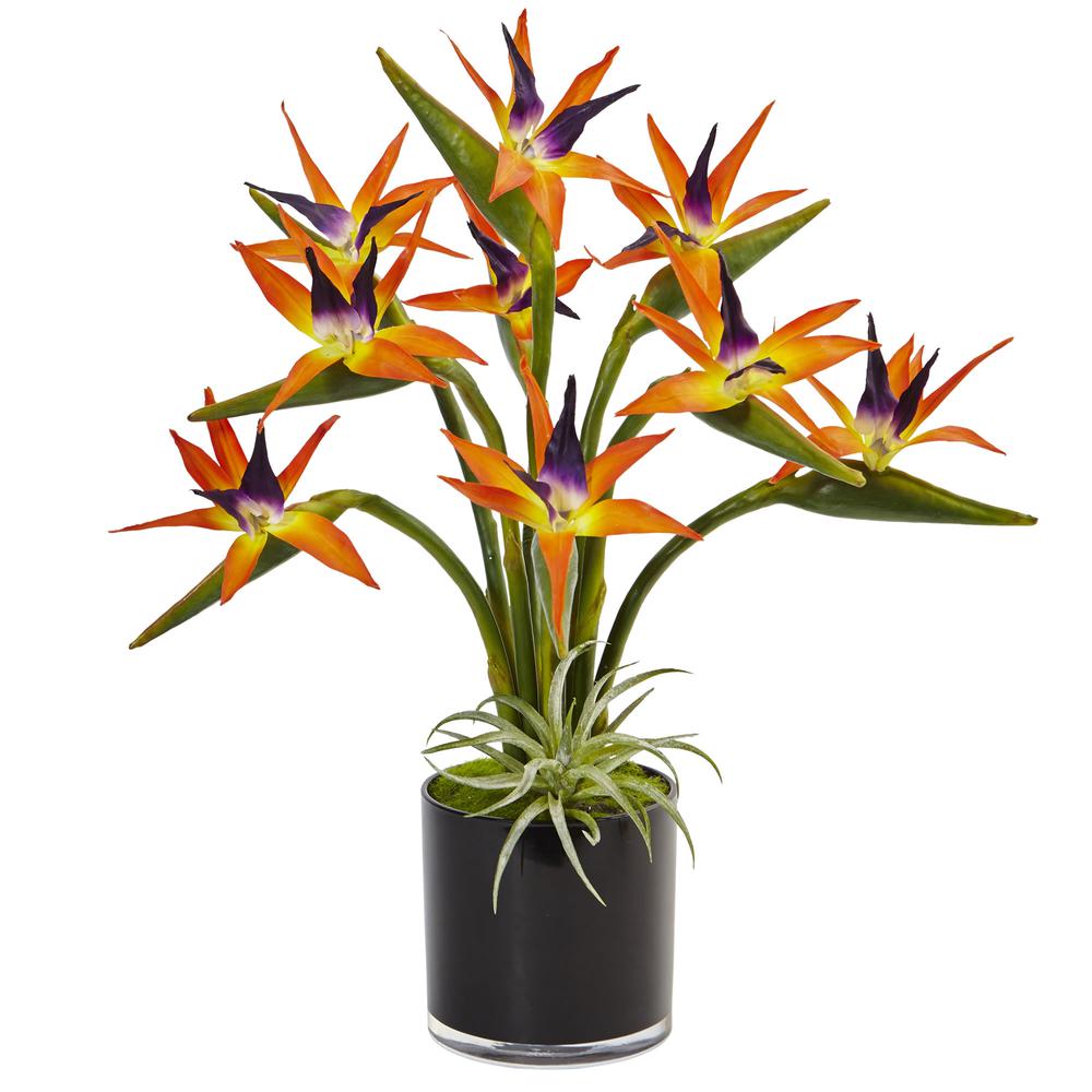 Bird of Paradise Silk Arrangement in Black Glossy Cylinder. Picture 1