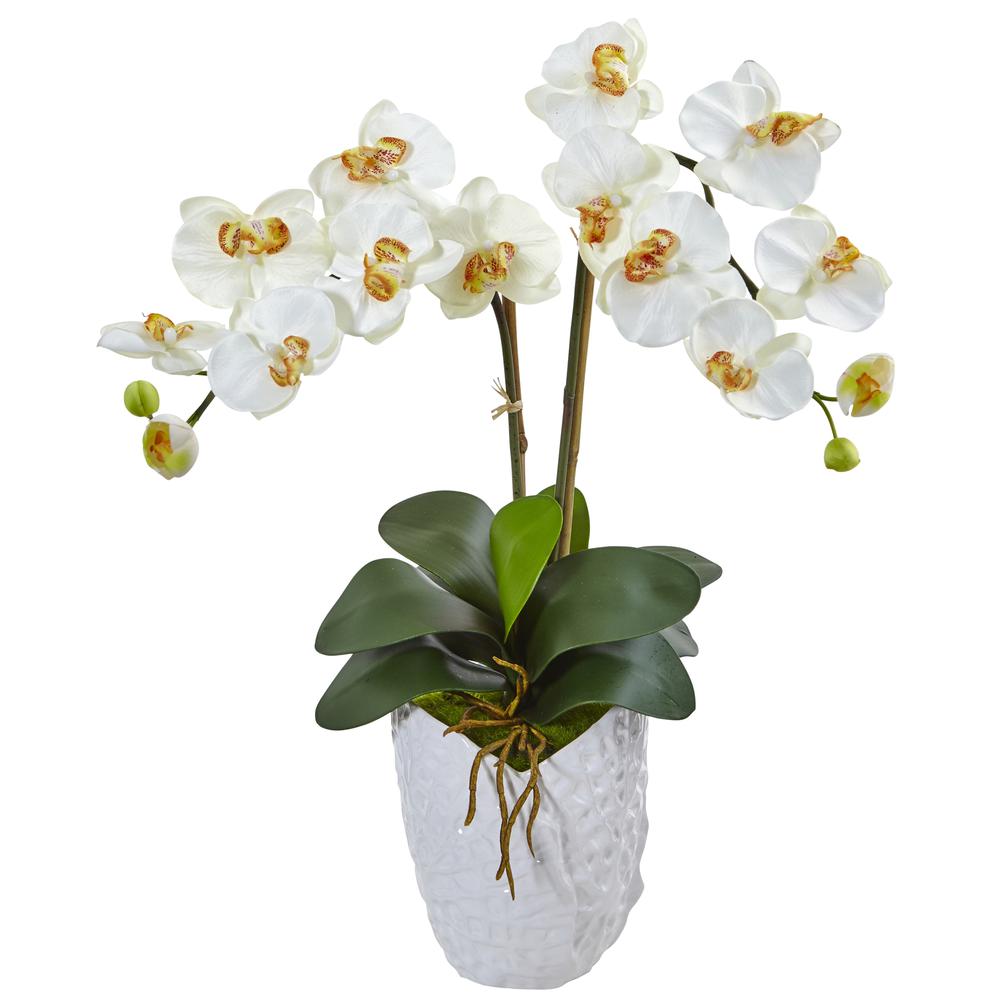 Double Phalaenopsis Orchid Silk Arrangement in White Vase. Picture 1