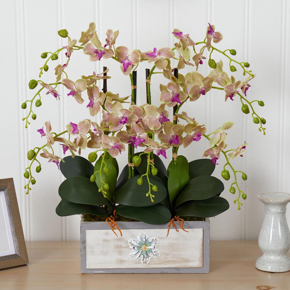Phalaenopsis Orchid Arrangement in Decorative Wood Planter. Picture 3