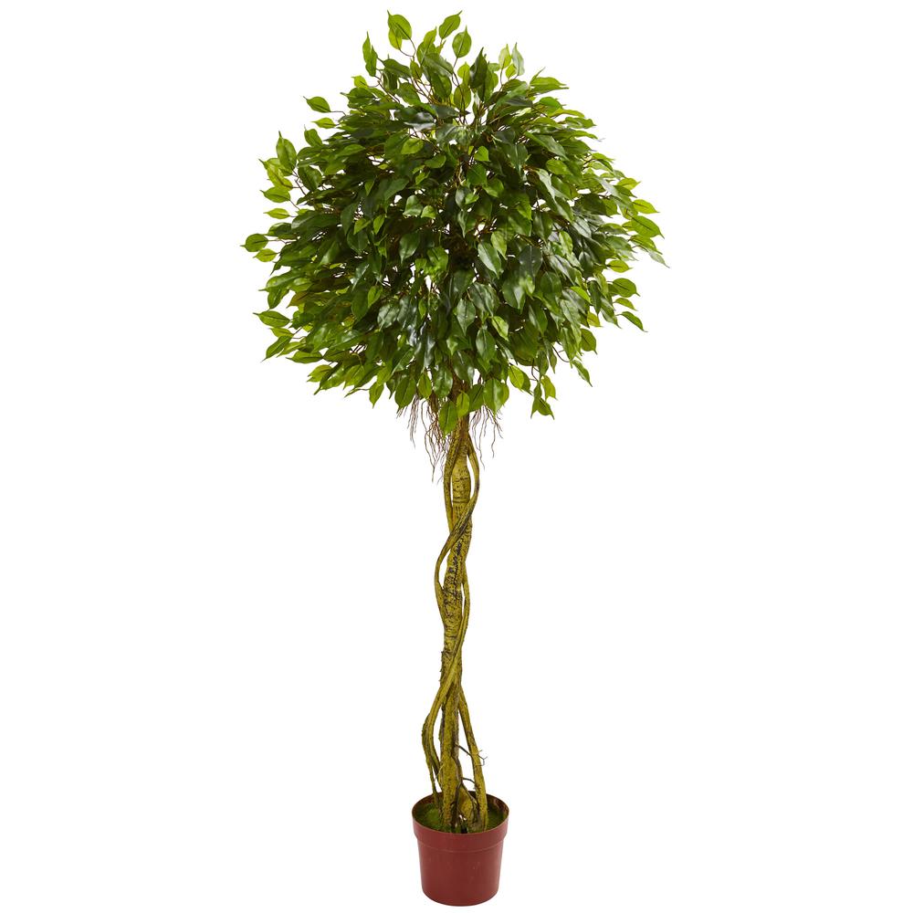6ft. Ficus Artificial Topiary Tree, UV Resistant (Indoor/Outdoor). Picture 1