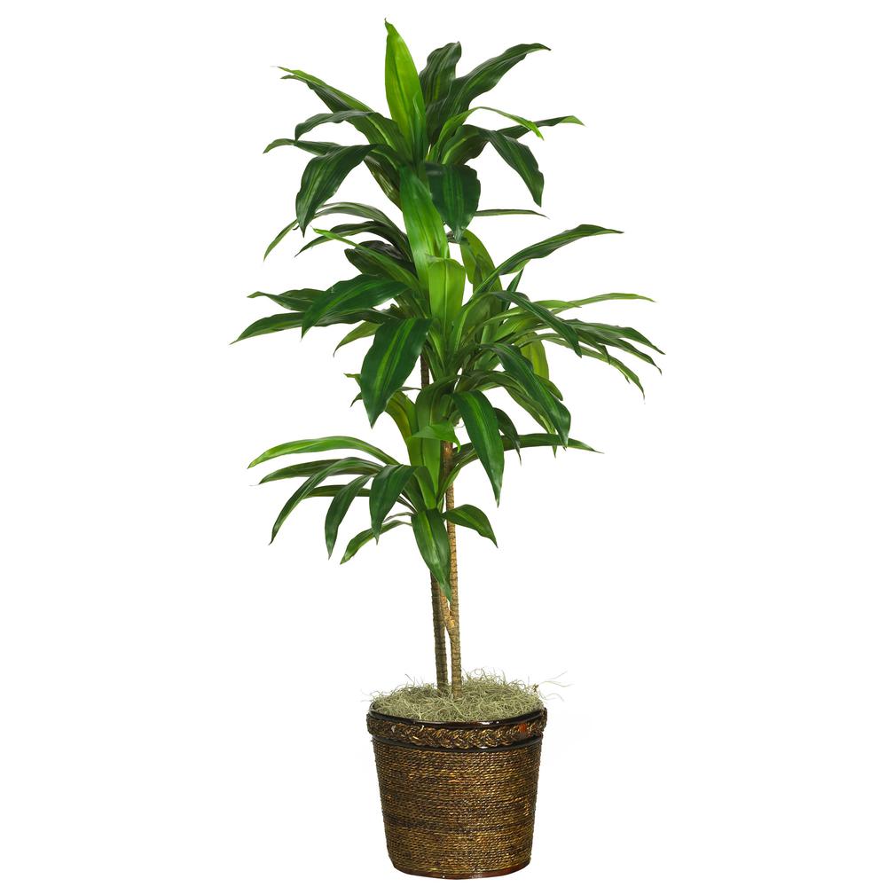48in. Dracaena with Basket Silk Plant (Real Touch). Picture 1