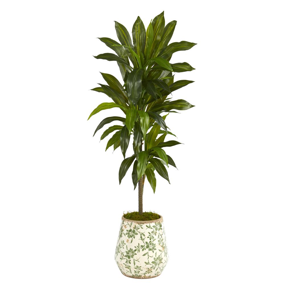 4ft. Dracaena Artificial Plant in Flower Print Planter (Real Touch). Picture 3
