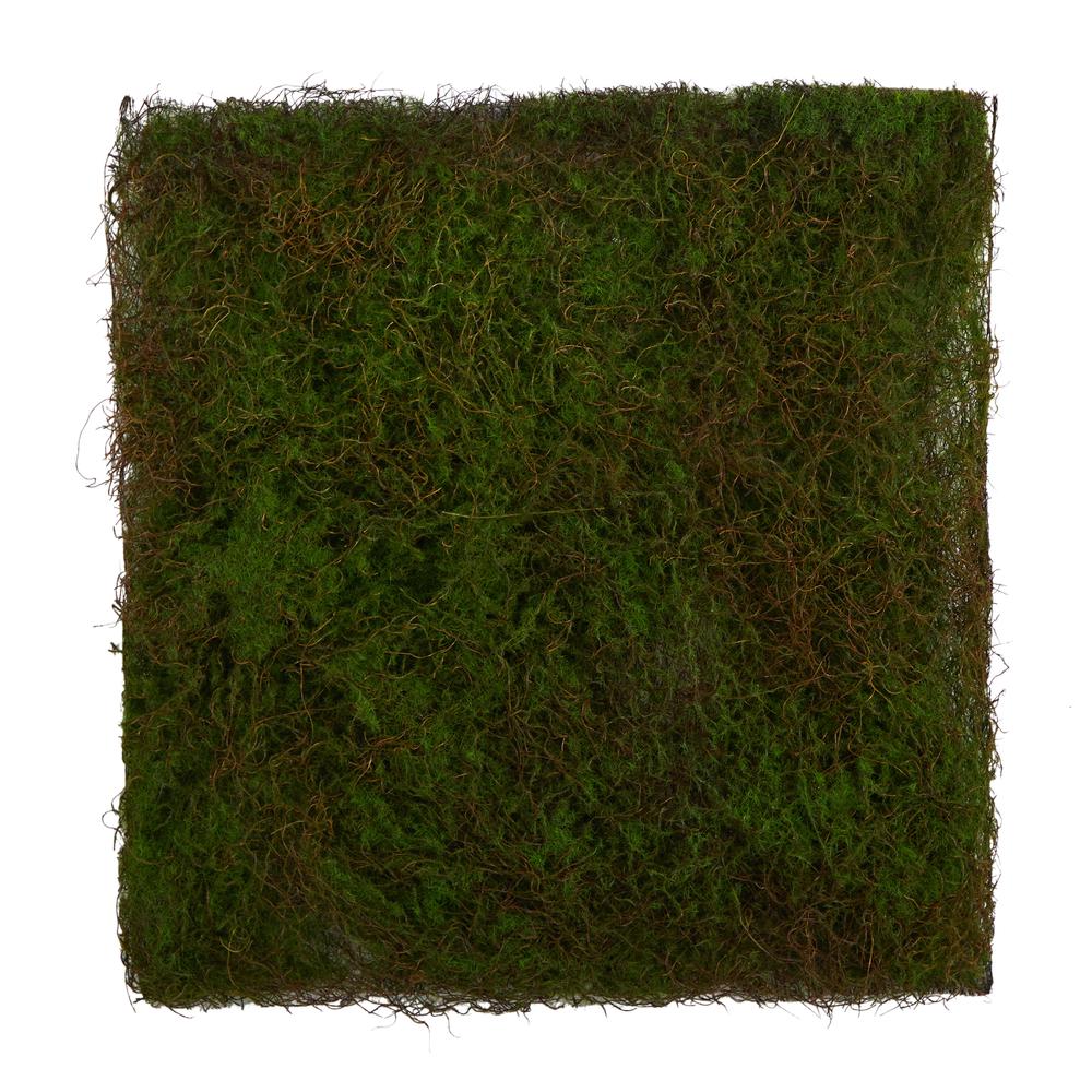 20in. X 20in. Artificial Moss Mat. Picture 1