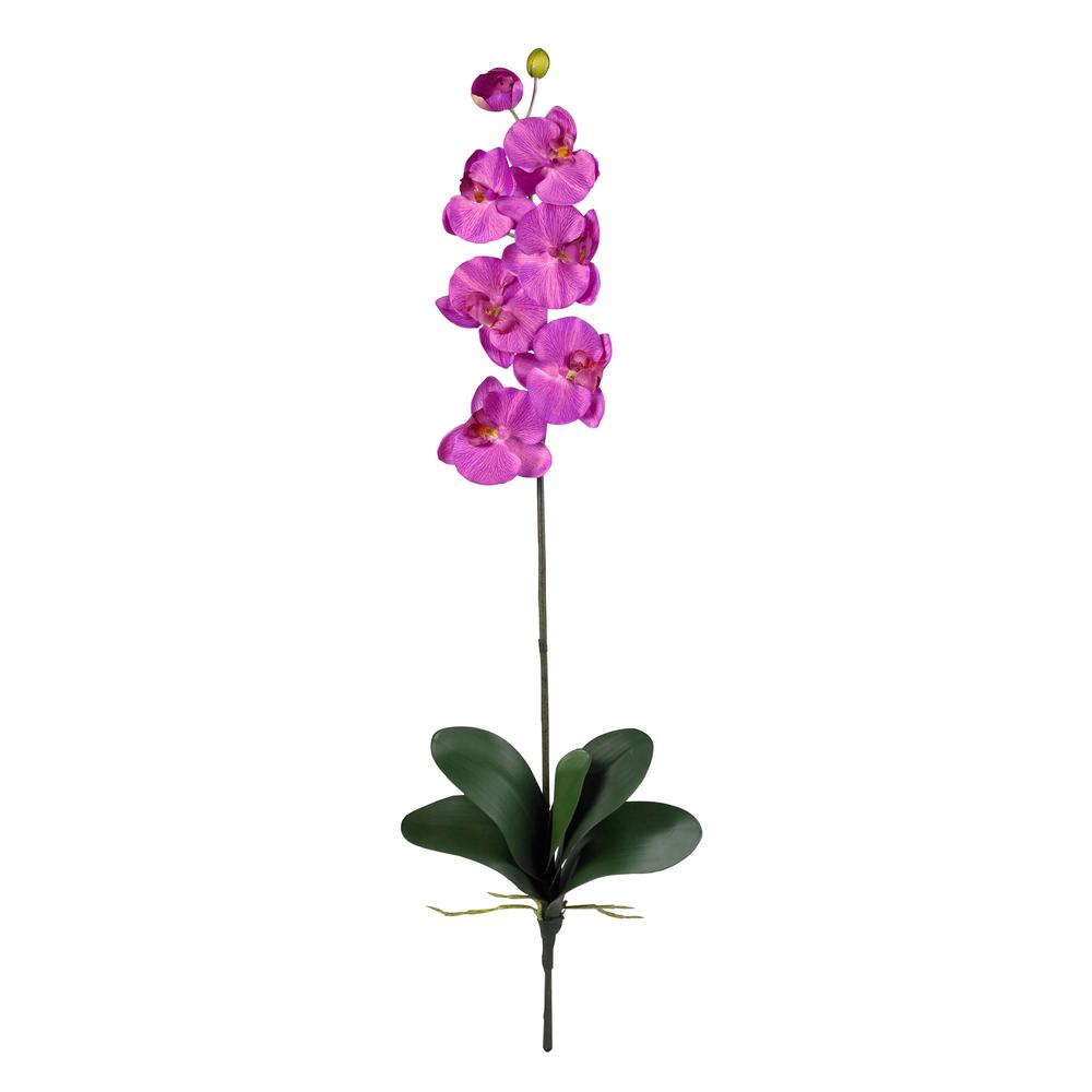Phalaenopsis Stem (Set of 6). Picture 1
