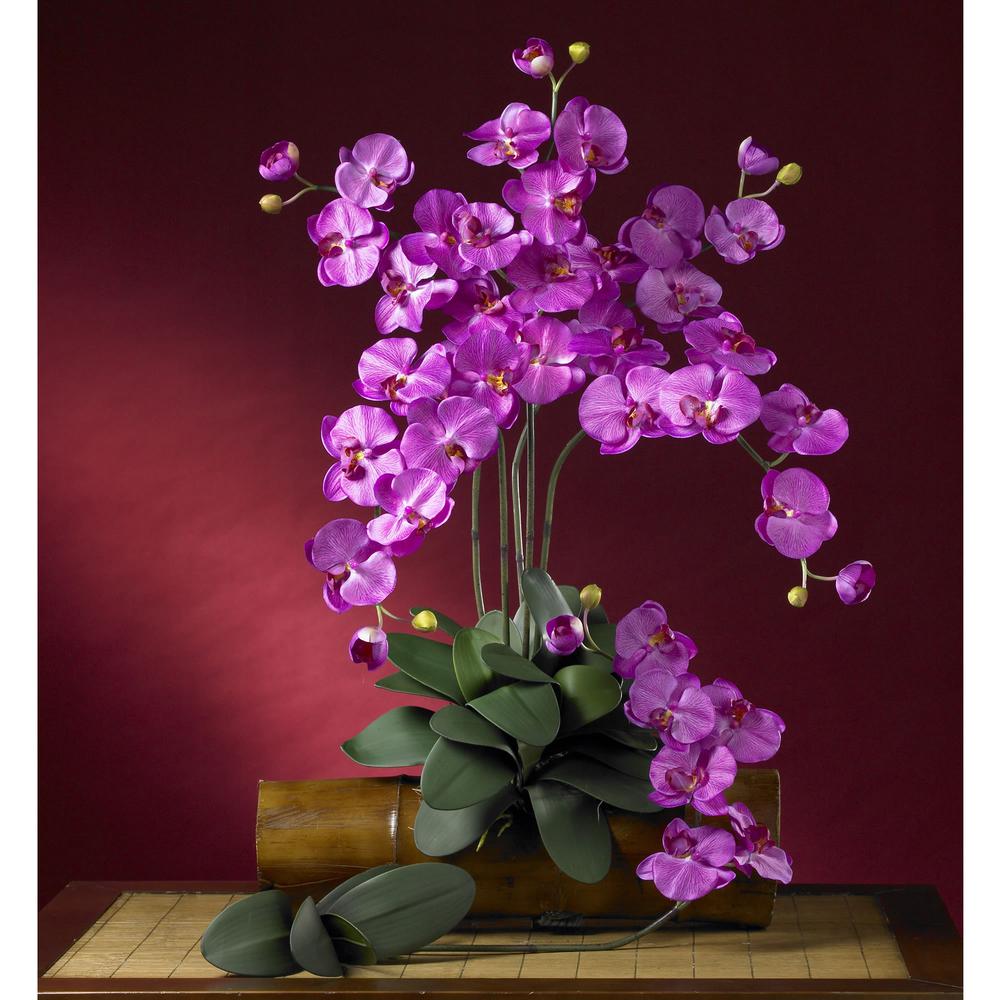 Phalaenopsis Stem (Set of 12). Picture 3
