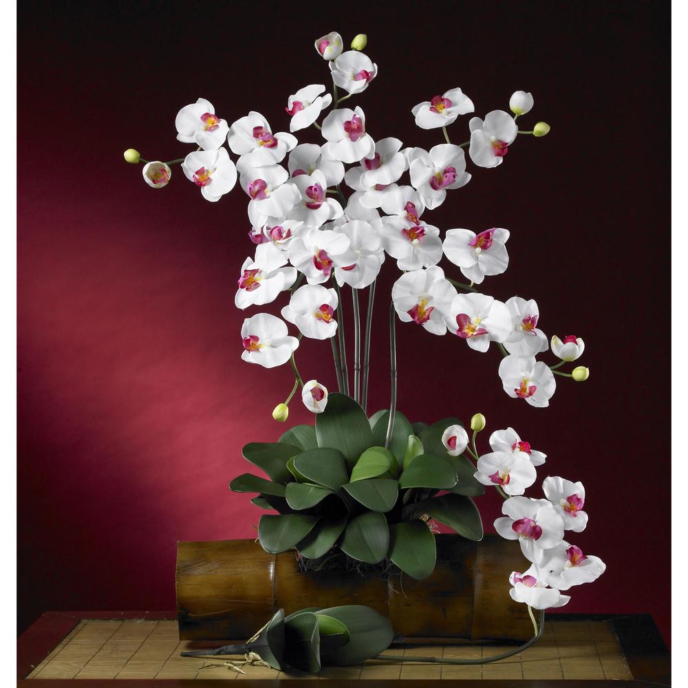 Phalaenopsis Stem (Set of 6). Picture 3