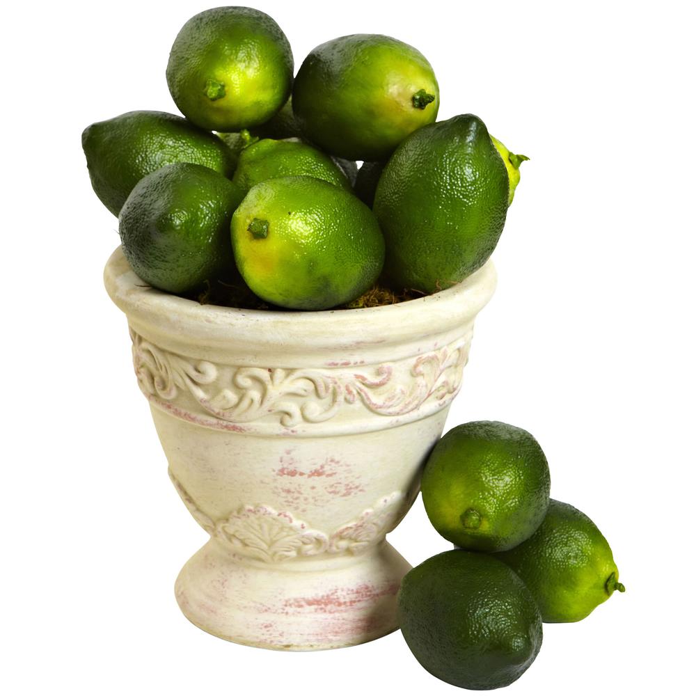 Faux Limes (Set of 12). Picture 4