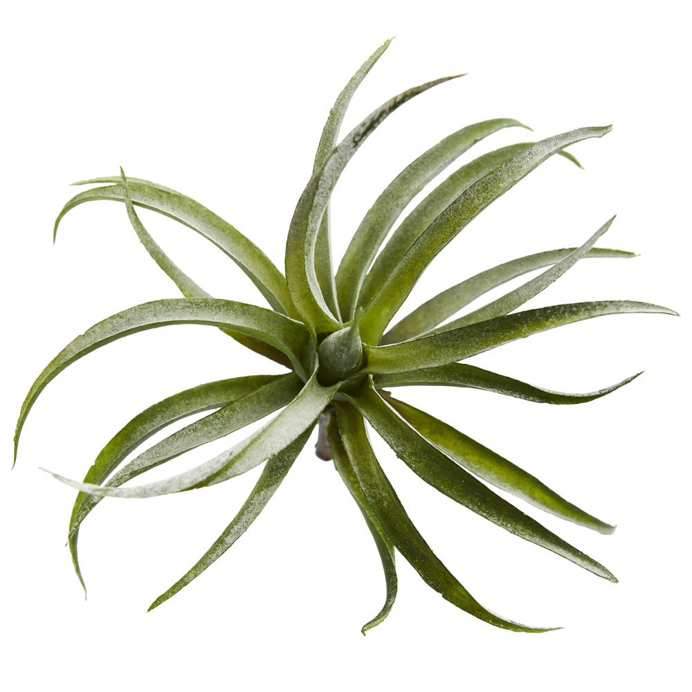 8in. Air Plant Artificial Succulent (Set of 12). Picture 3