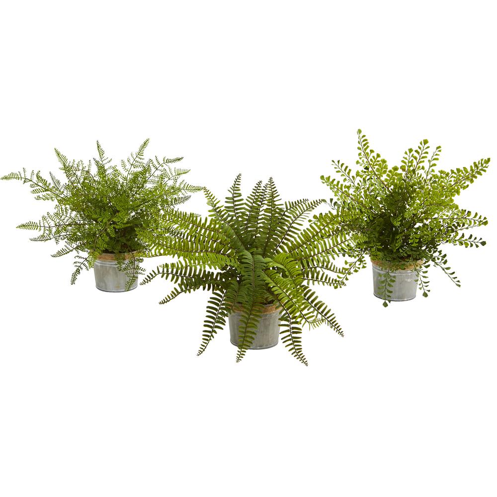14in. Assorted Ferns with Planter Artificial Plant, Set of 3. Picture 1
