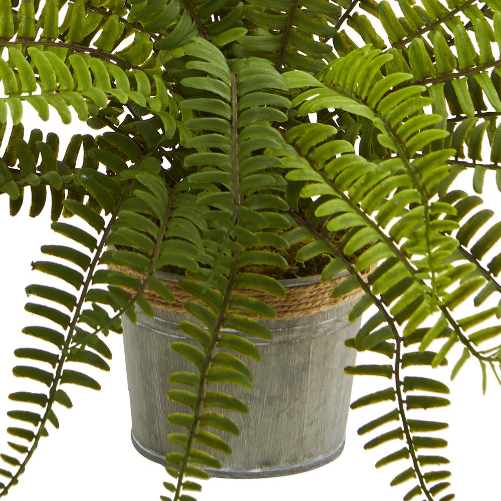14in. Assorted Ferns with Planter Artificial Plant, Set of 3. Picture 3