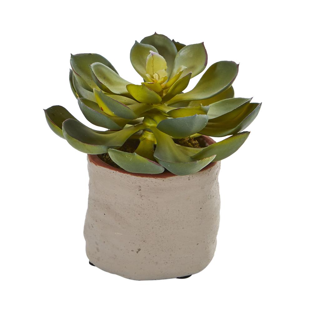 Mixed Succulent Artificial Plant (Set of 4). Picture 7
