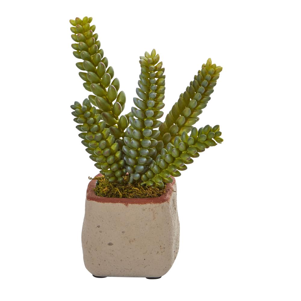 Mixed Succulent Artificial Plant (Set of 4). Picture 5