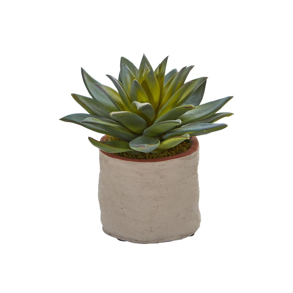 Mixed Succulent Artificial Plant (Set of 4). Picture 6